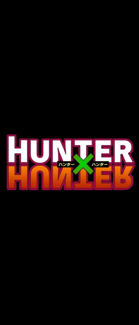 HUNTER X HUNTER